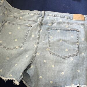 Seven7 Women's Light Blue Jean Shorts